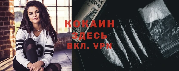 прущие грибы Алексин