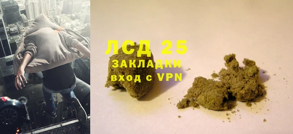 прущие грибы Алексин