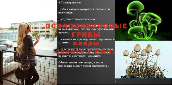 прущие грибы Алексин