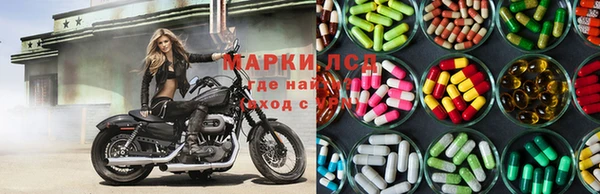 крисы Алзамай