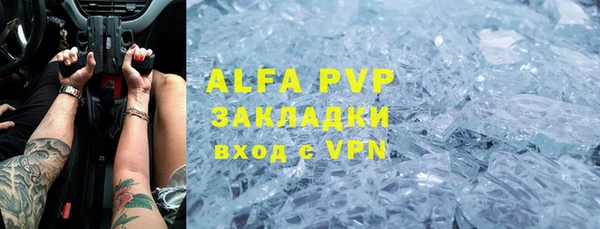 прущие грибы Алексин