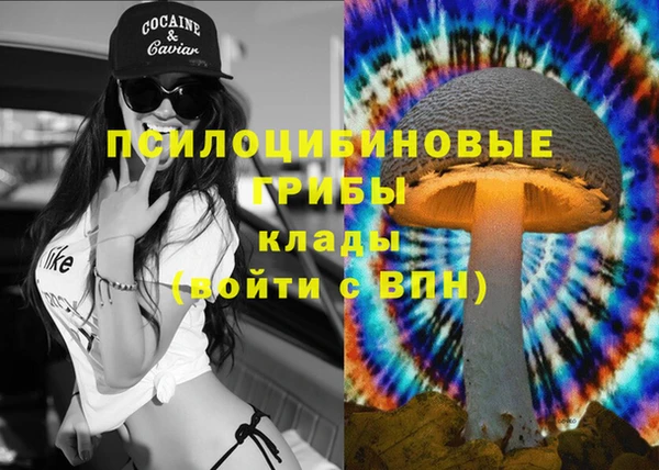 крисы Алзамай