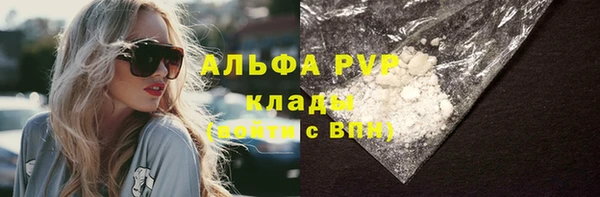 прущие грибы Алексин